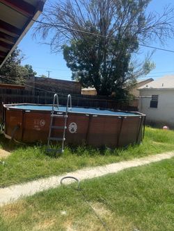Coleman Above Ground Pool with Ladder