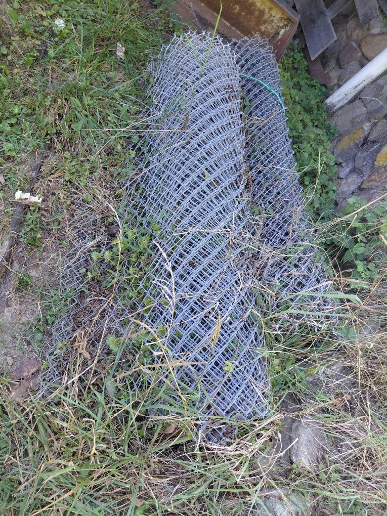 Chain Link Fencing 