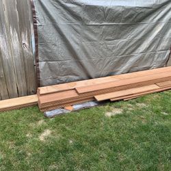 African Mahogany