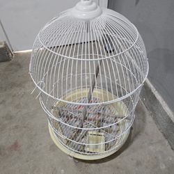 Bird Cage