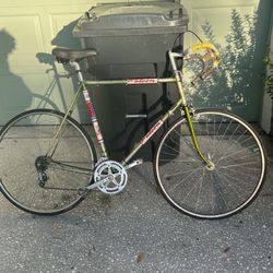 Skinny Racing Bike 