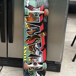 Limited Edition Tony Hawk Skateboard For Sale