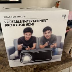 PORTABLE ENTERTAINMENT PROJECTOR GDMI