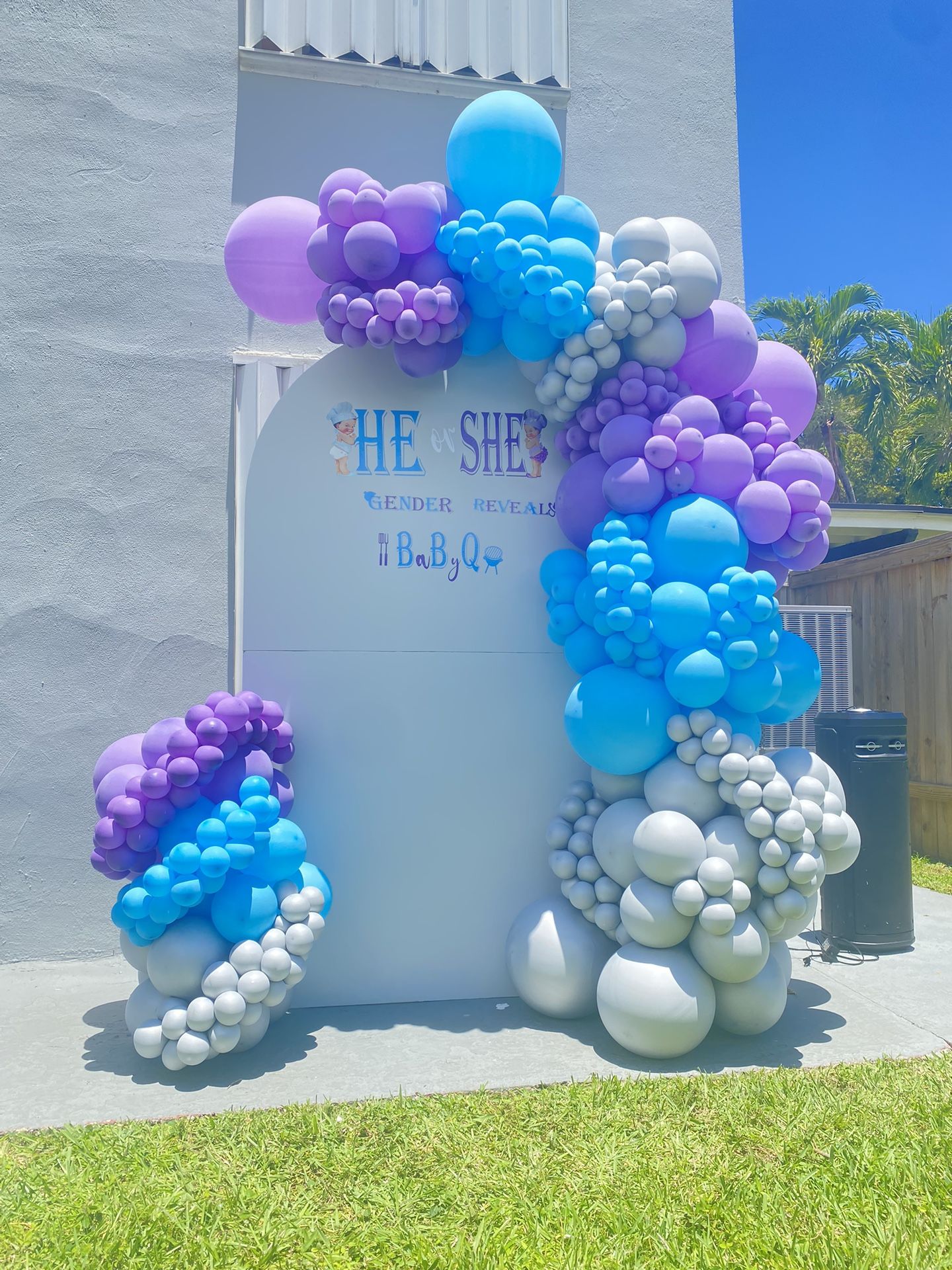 Balloons Gender Reveal  Decorations BabyQ  Reveal 