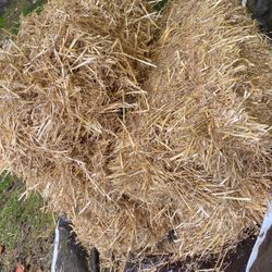 Hay