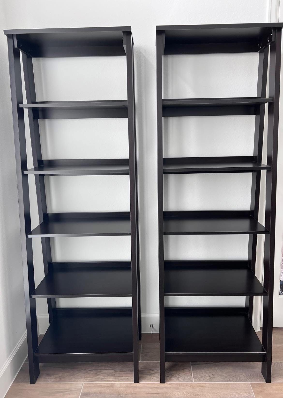 Ladder BookShelves