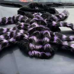 Spider custom for dog