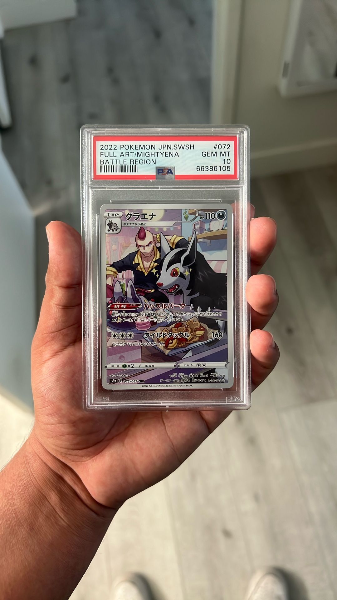 2022 Pokemon Full Art/Mightyena