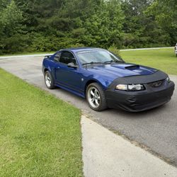 Mustang GT V8 2004