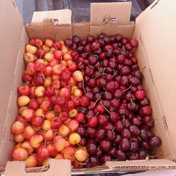 Fresh Cherries 
