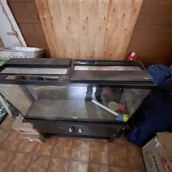 Fish Tank w/ Stand