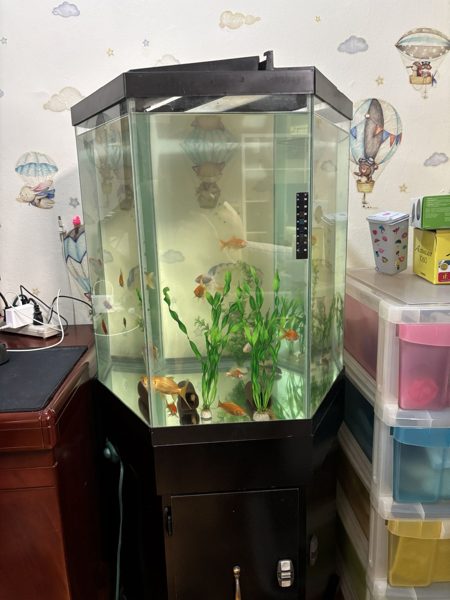 Fish Tank