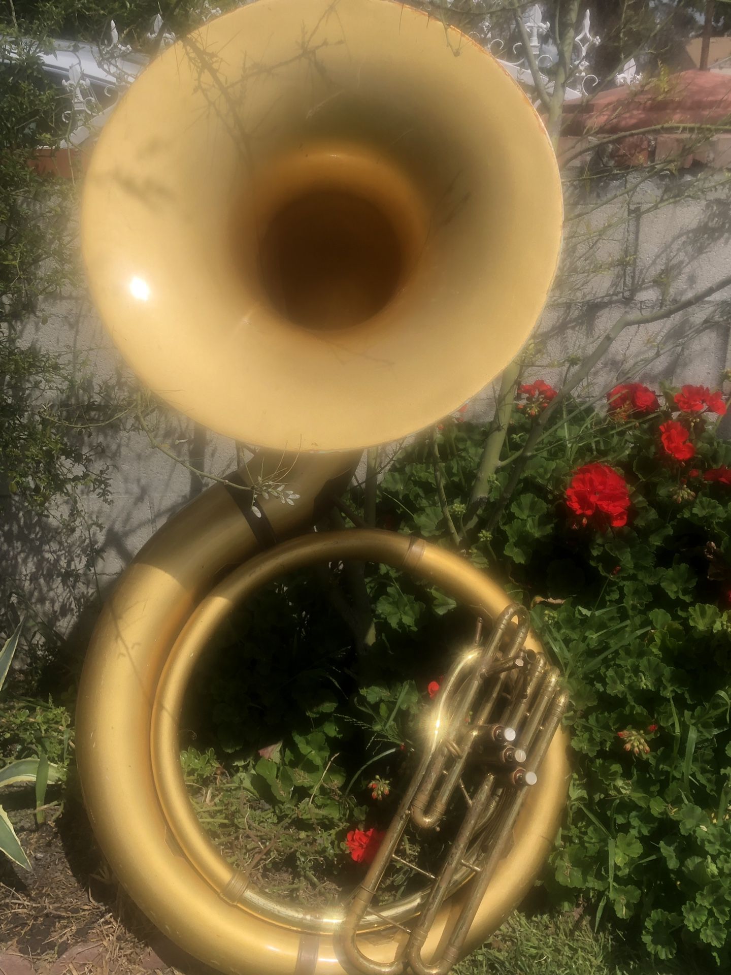 Reynolds sousaphone best sale