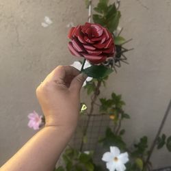 Metal Roses