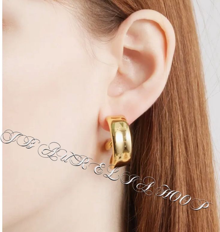 JENNY BIRD Large Aurelia Hoop Earrings New