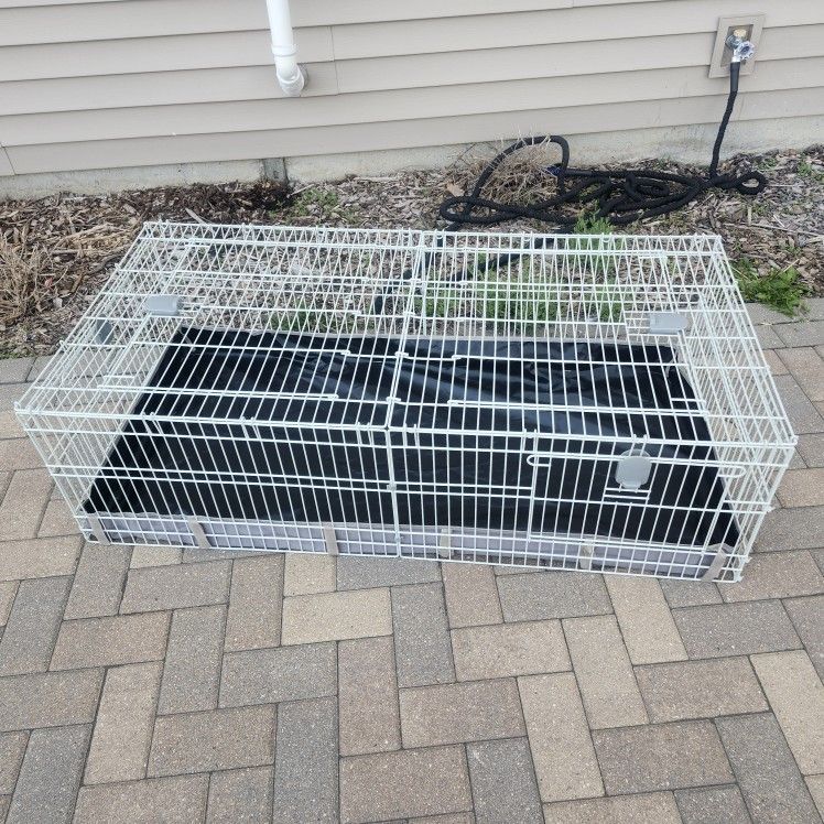 Guinea Pig Cage