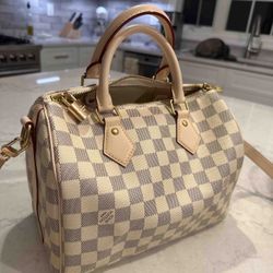 LV Bag