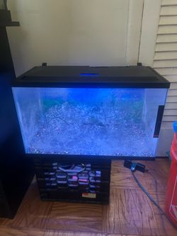Fish tank