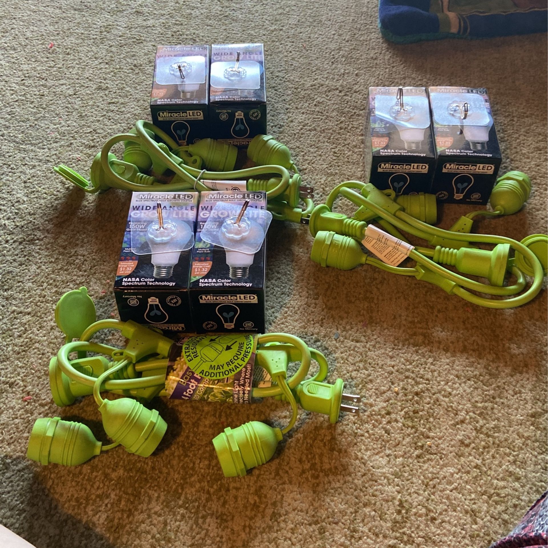 For Your Growing Needs 25 A Bundle Or All For 60 for Sale in Fresno