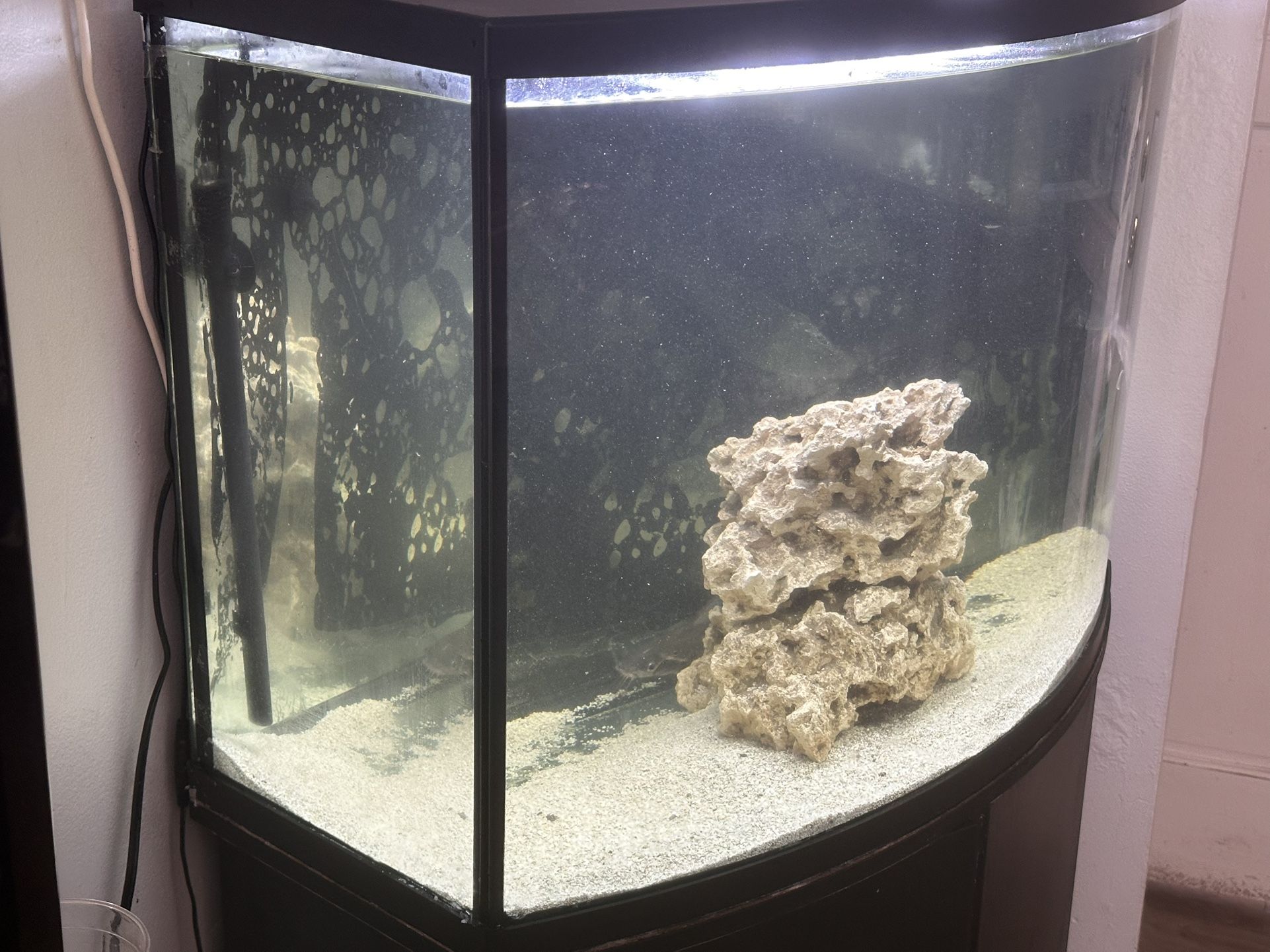 Fish Tank