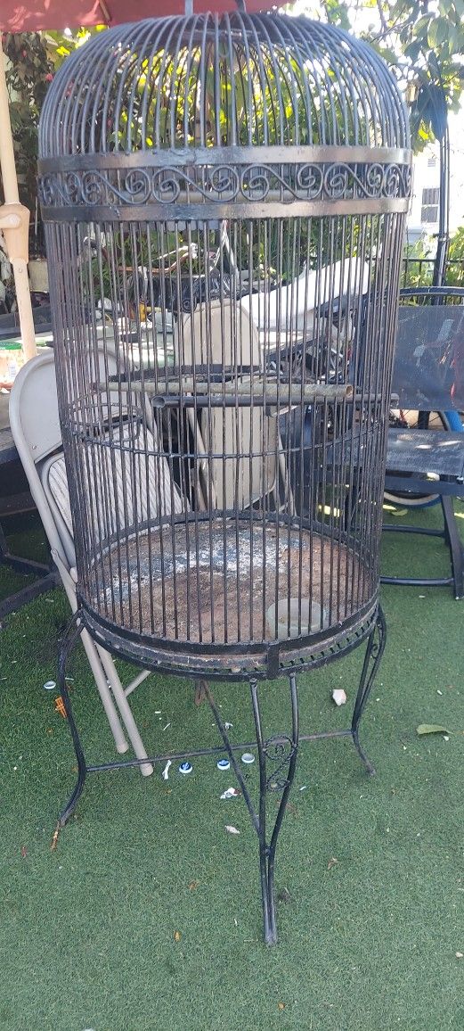 Bird Cage