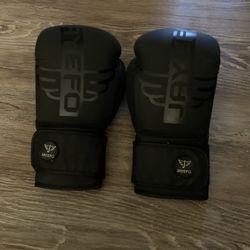 16 oz Boxing Gloves