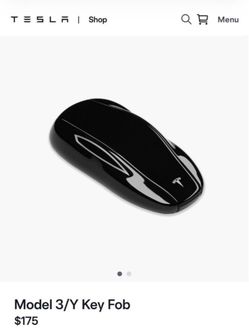 Tesla Key Fob