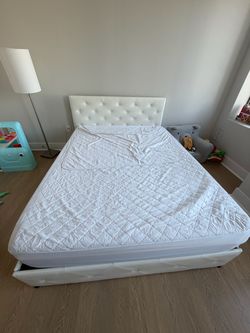 White wayfair bedframe