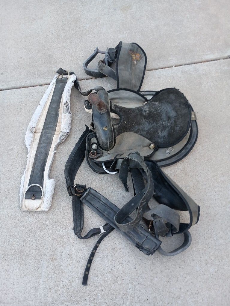 Saddle