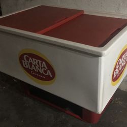 Hieleras Grandes $$$$