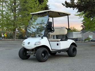 2018 ⚡️ Evolution Turfman 200  Utility Golf Cart ⛳️
