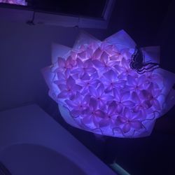Bouquet/ Ramos 