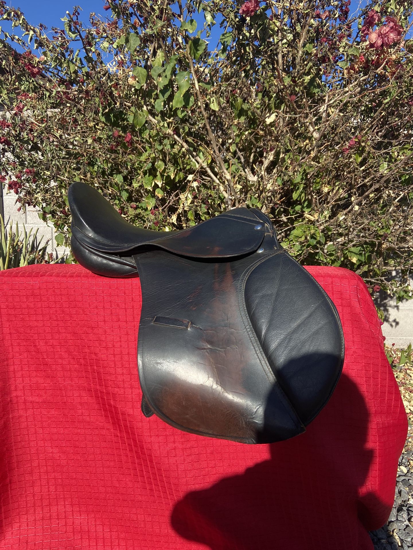 Training Horse Saddle