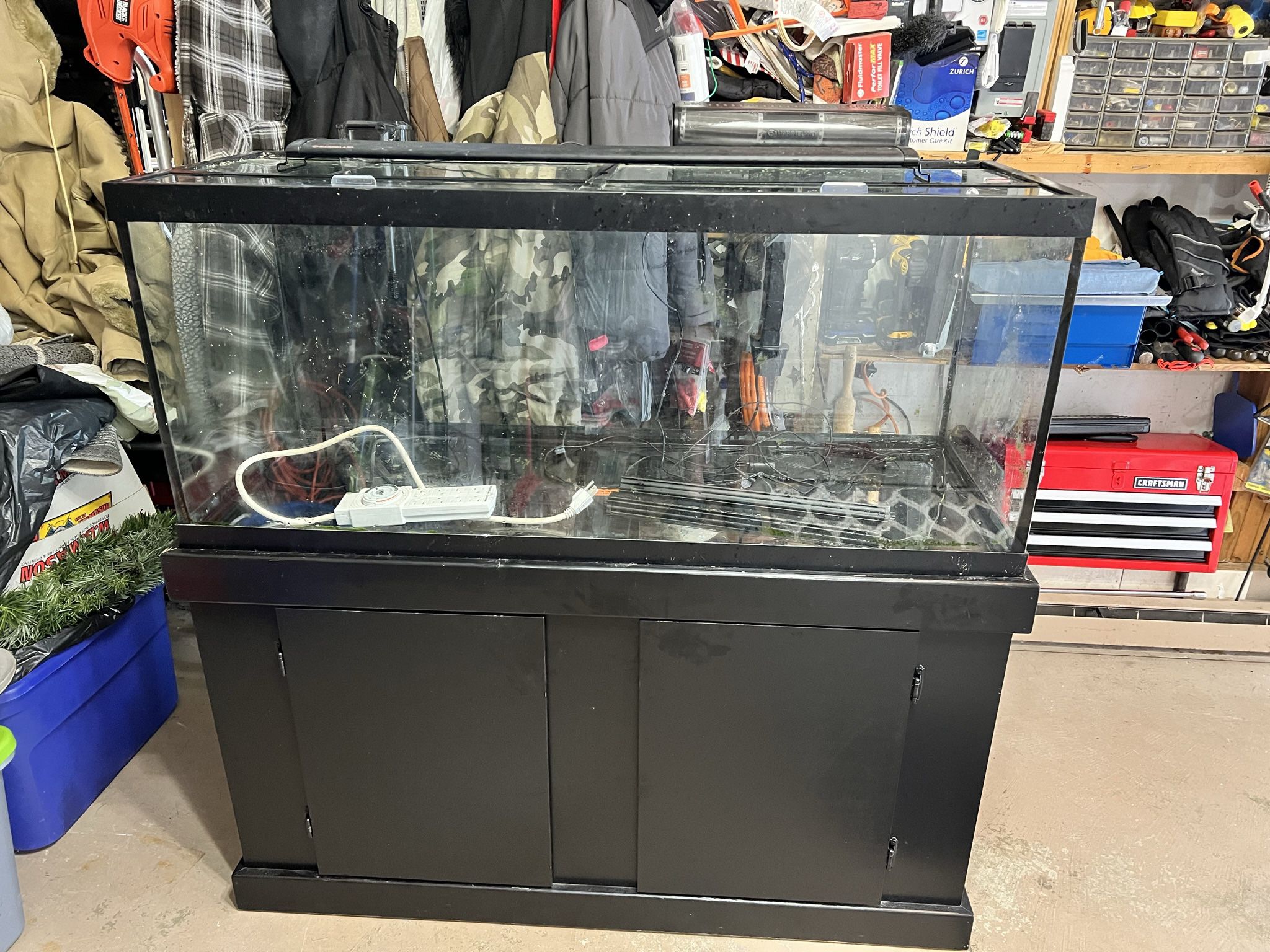 55 Gal Fish Tank And Stand