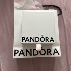 Pandora Bracelet 