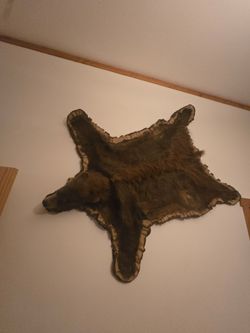 Cinnamon black bear rug excellent shape