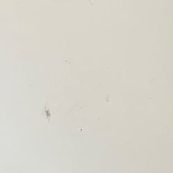 S9 Plus Unlocked Mint