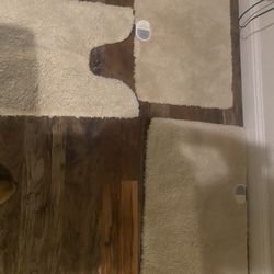 Target Bathroom Rugs  