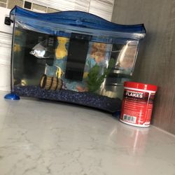 FISH TANK WITH FOOD AND FISHES AND FILTER