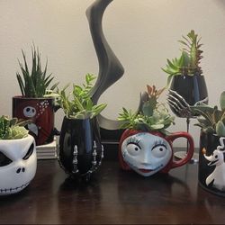 Halloween Succulent Arrangement