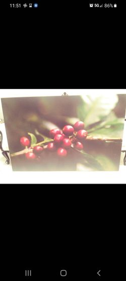 Contemporary art.  Laminate print. 