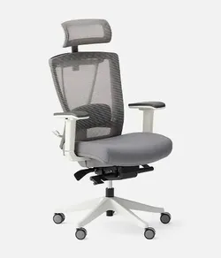 Autonomous ErgoChair Ergonomic Office Chair Upgraded Wheels