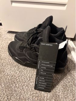 black cat 4s 2020