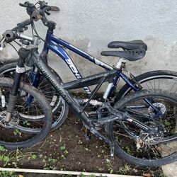 Cannondale Schwinn bikes