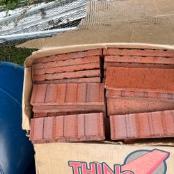 Pacific Clay Minie Brick 