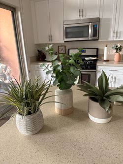 Potted plants (faux) $5 each
