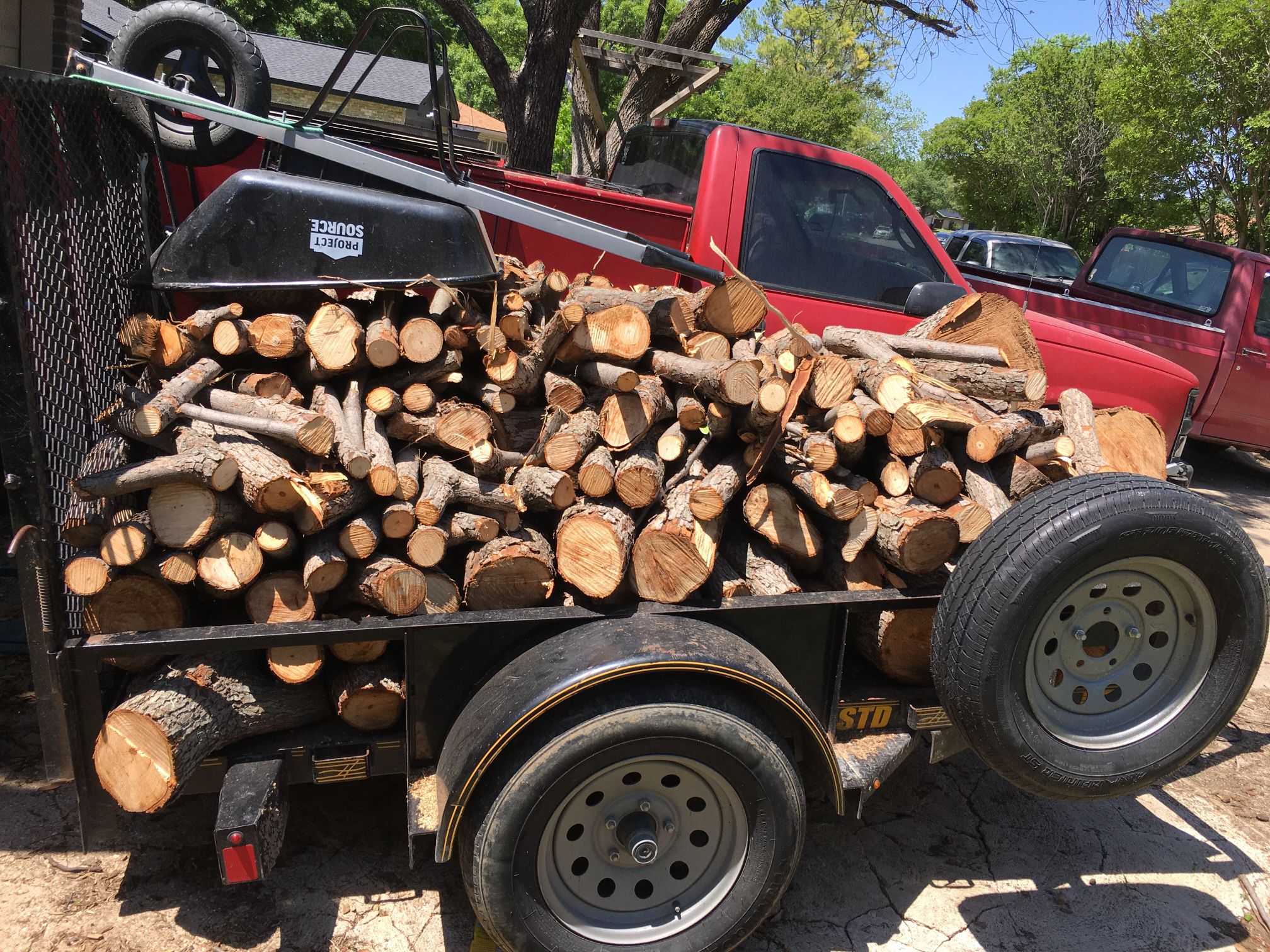 2 Pecan trees on the truck ready for firewood