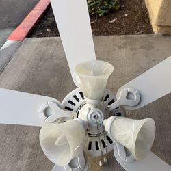Ceiling Fan 45”