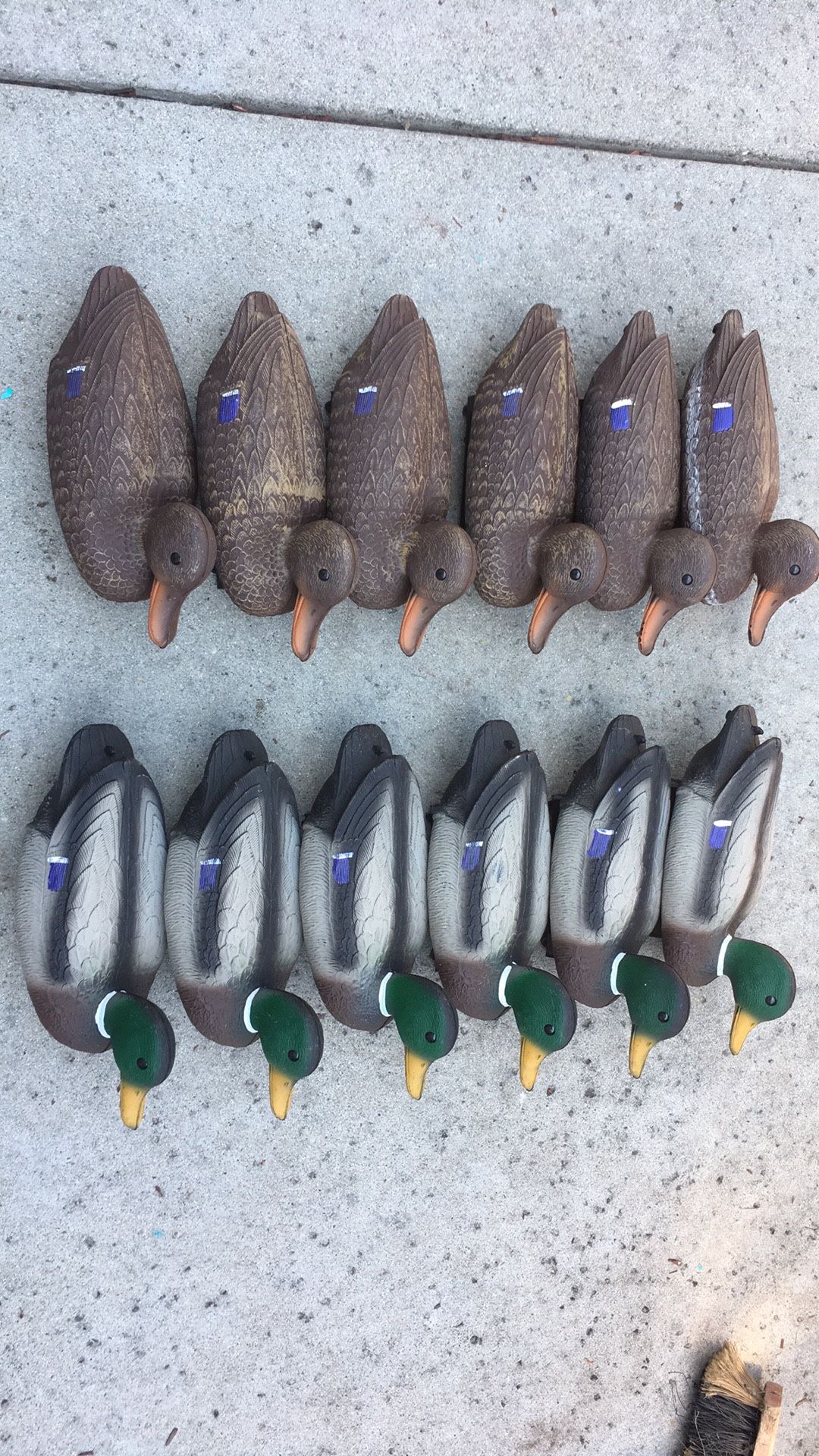 Set of 12 NEW Mallard Flambeau Duck Decoys