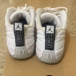 Air Jordan 12 retro low